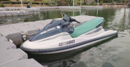 2000 Polaris Genesis