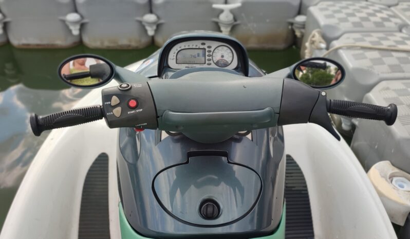 
								2000 Polaris Genesis full									