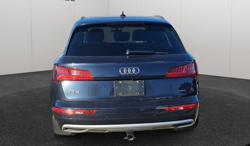 
								2019 Audi Q5 full									