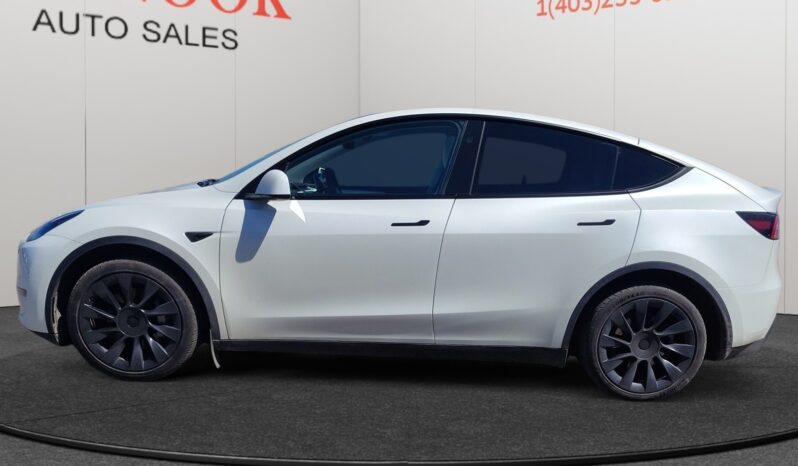 
								2024 Tesla Model Y full									