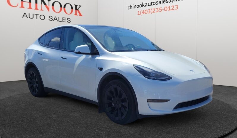 
								2024 Tesla Model Y full									