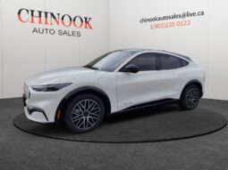 
										2024 Ford Mustang Mach-E full									