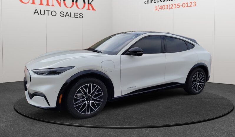 
								2024 Ford Mustang Mach-E full									