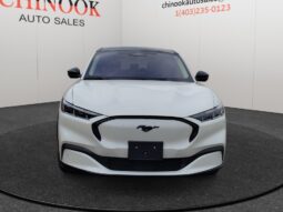 
										2024 Ford Mustang Mach-E full									