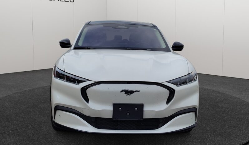 
								2024 Ford Mustang Mach-E full									