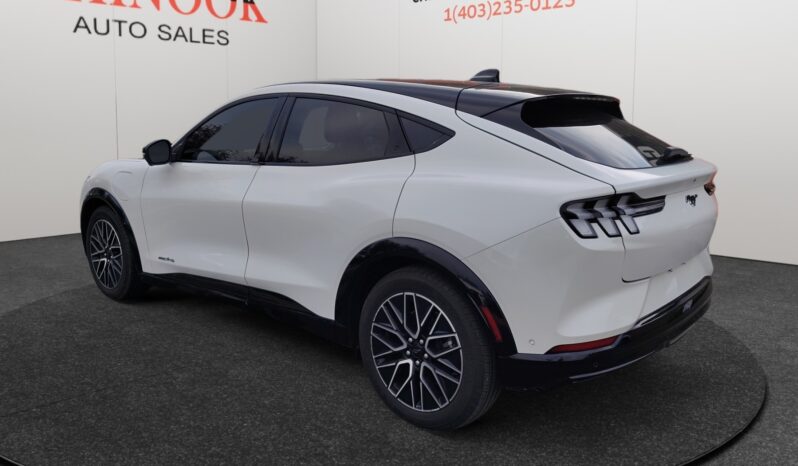 
								2024 Ford Mustang Mach-E full									
