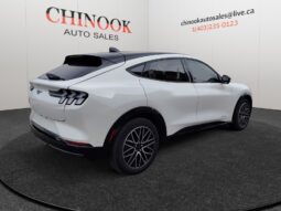 
										2024 Ford Mustang Mach-E full									