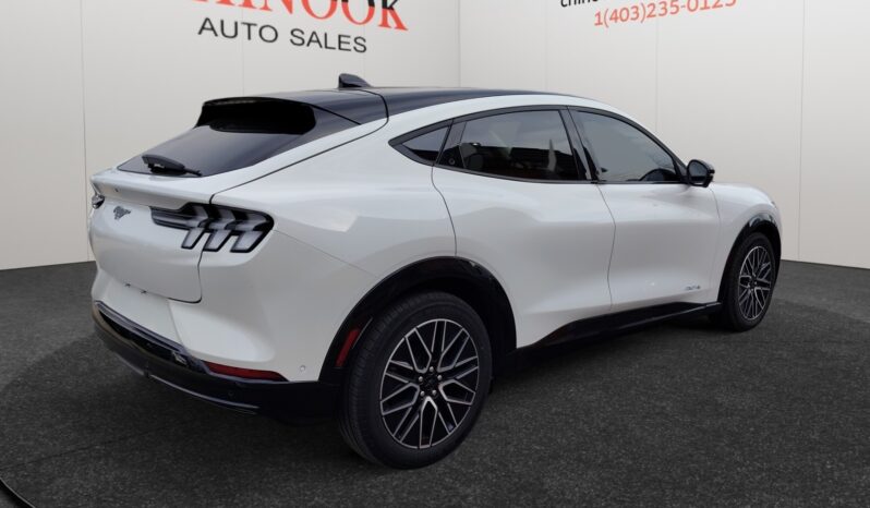 
								2024 Ford Mustang Mach-E full									