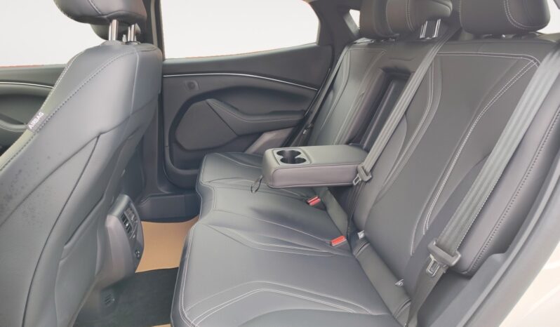 
								2024 Ford Mustang Mach-E full									