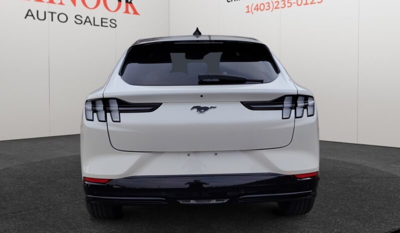 
								2024 Ford Mustang Mach-E full									