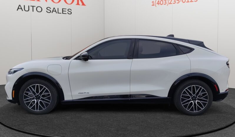 
								2024 Ford Mustang Mach-E full									