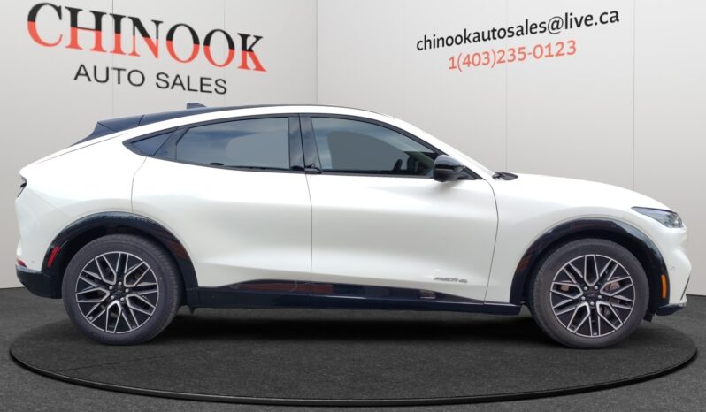 
								2024 Ford Mustang Mach-E full									