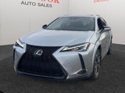 2023 Lexus UX 250h Premium