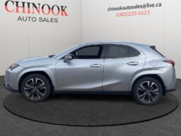2023 Lexus UX 250h Premium